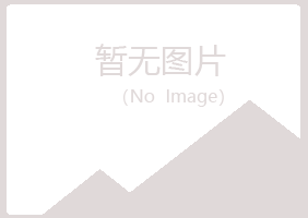 偃师从梦冶炼有限公司